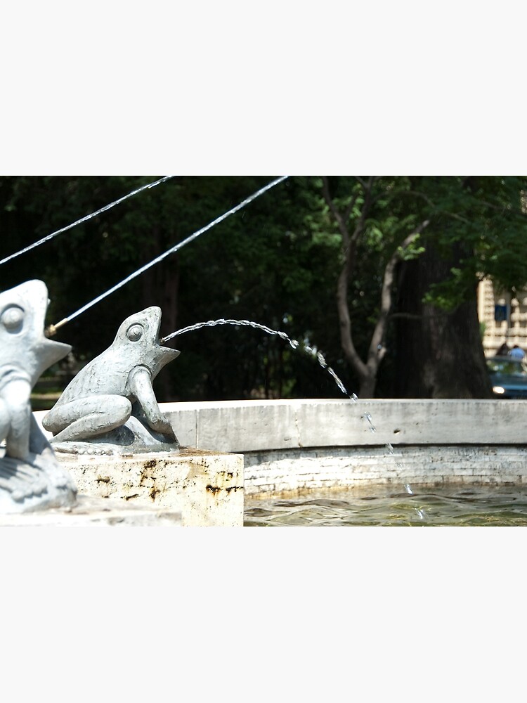 Frog Fountain, Bolzano/Bozen, Italy by leemcintyre