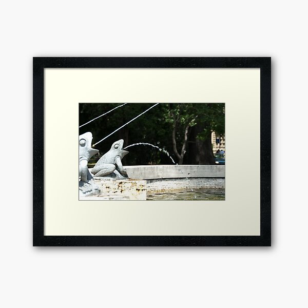 Frog Fountain, Bolzano/Bozen, Italy Framed Art Print