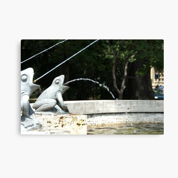 Item preview, Frog Fountain, Bolzano/Bozen, Italy designed and sold by L Lee McIntyre.
