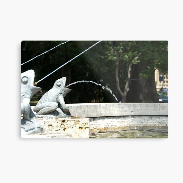 Frog Fountain, Bolzano/Bozen, Italy Metal Print