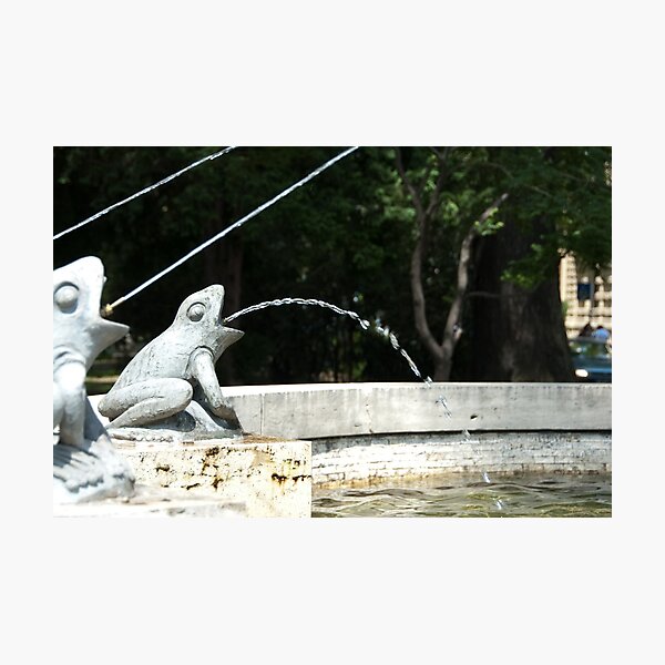 Frog Fountain, Bolzano/Bozen, Italy Photographic Print