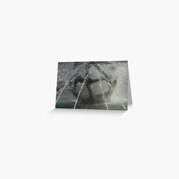 Fountain, Piazza Tribunale, Bolzano/Bozen Greeting Card