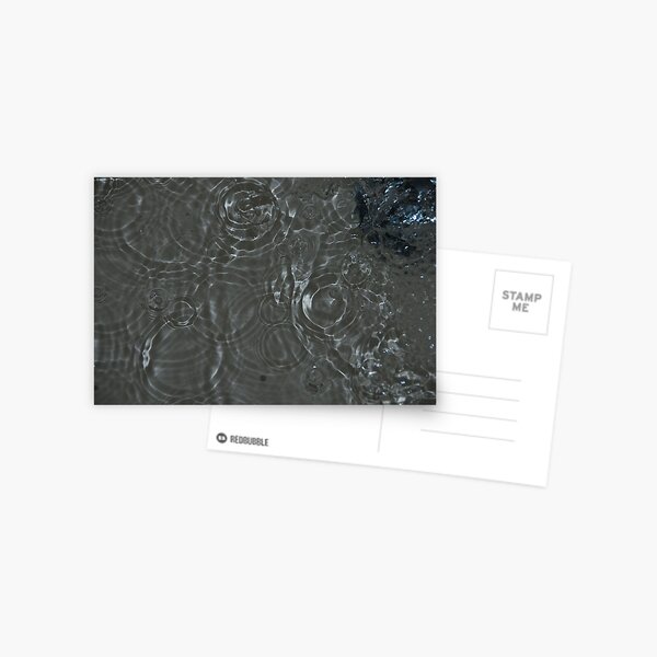 Bubbles in the Sink, Vancouver, British Columbia Postcard