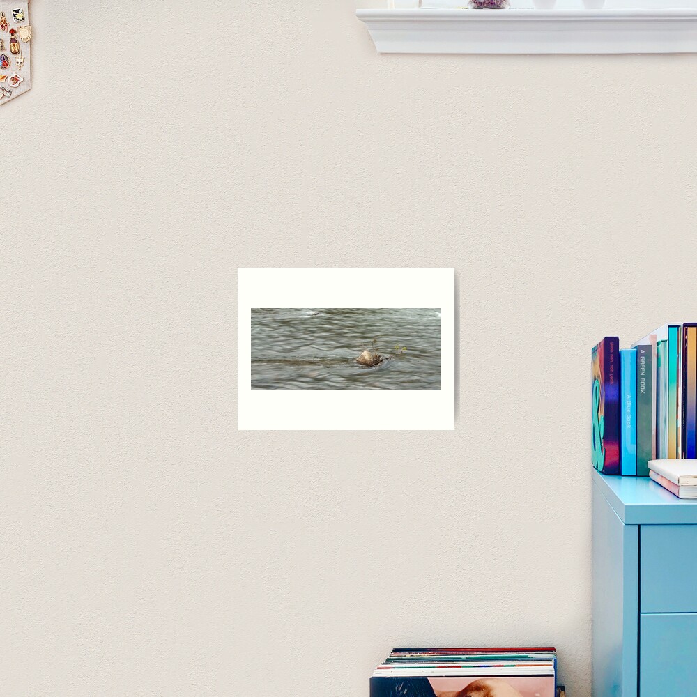 Heading Upstream, Talvera River, Bolzano/Bozen, Italy Art Print