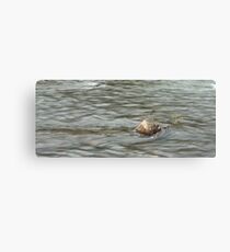 Heading Upstream, Talvera River, Bolzano/Bozen, Italy Canvas Print