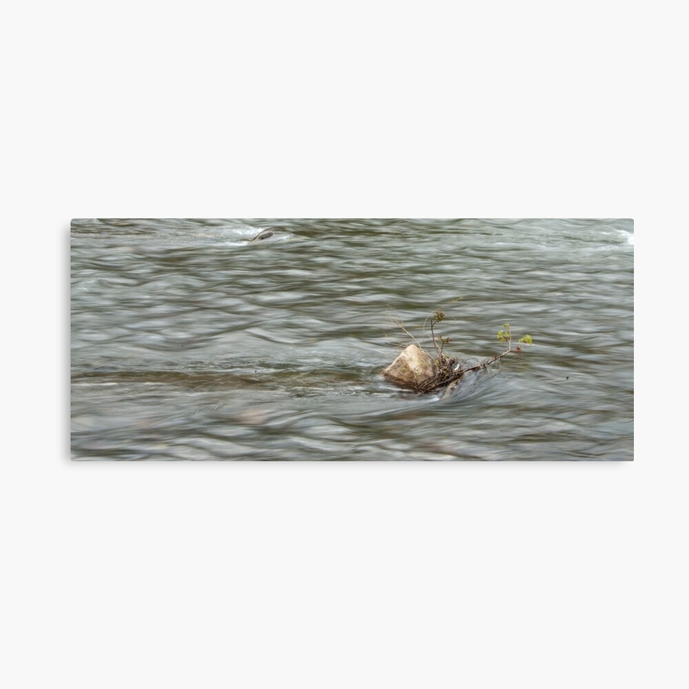 Heading Upstream, Talvera River, Bolzano/Bozen, Italy Canvas Print