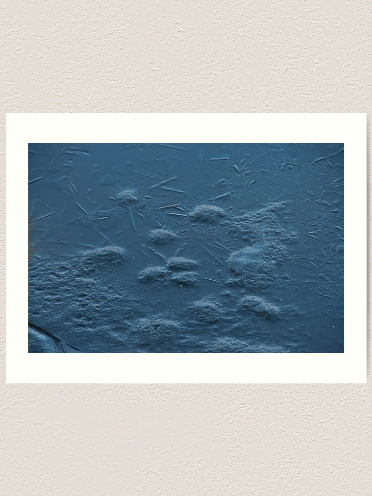 Alternate view of Ice on Lost Lagoon, Vancouver, British Columbia Art Print