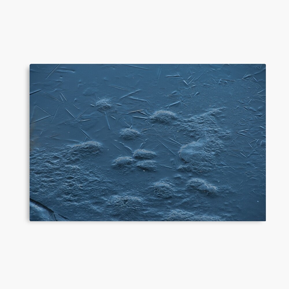 Ice on Lost Lagoon, Vancouver, British Columbia Canvas Print