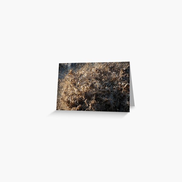 After the Storm, Talvera River, Bolzano/Bozen, Italy Greeting Card