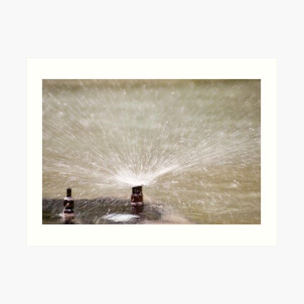 Sprinkler Spray, Vancouver, British Columbia Art Print