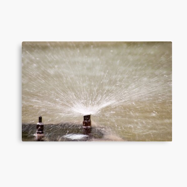 Sprinkler Spray, Vancouver, British Columbia Canvas Print