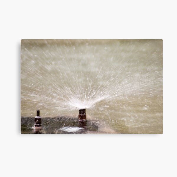 Sprinkler Spray, Vancouver, British Columbia Metal Print