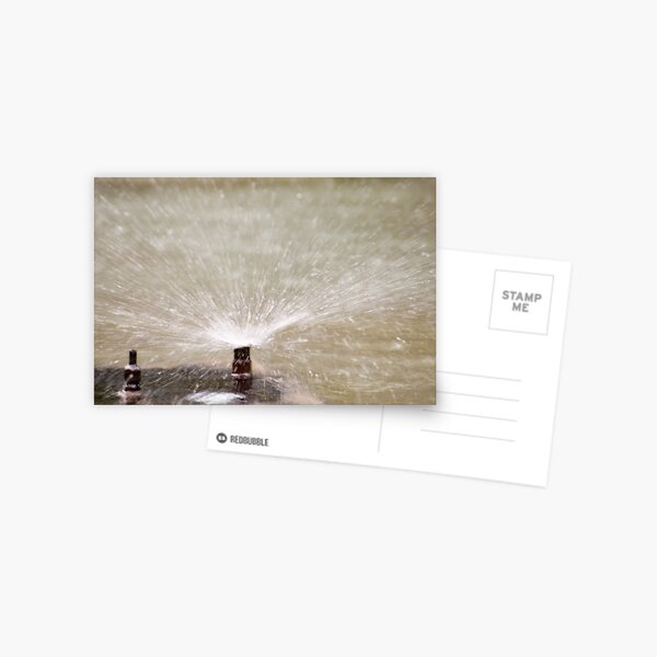 Sprinkler Spray, Vancouver, British Columbia Postcard