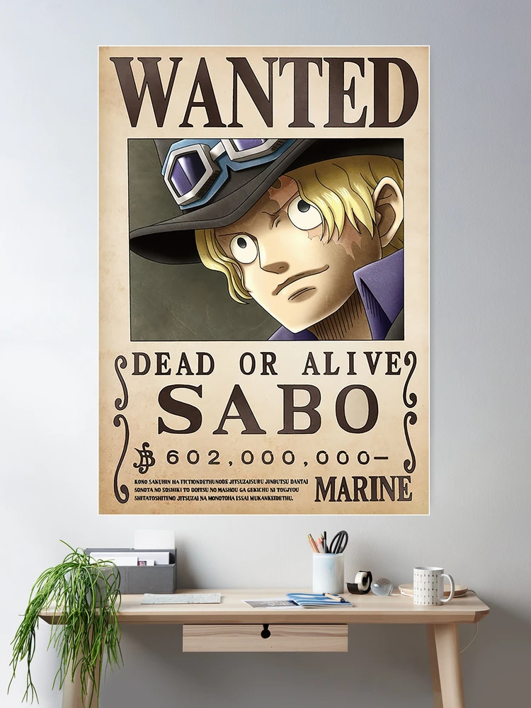 One Piece- Sabo Bounty