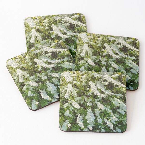 Item preview, Beautiful Blossoming White Spiraea designed and sold by ckylin.