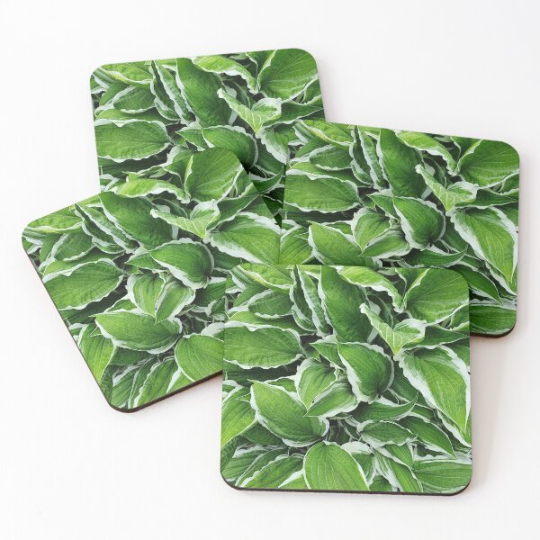 Item preview, Decorative Green and White Leaves designed and sold by ckylin.