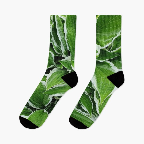 Item preview, Decorative Green and White Leaves designed and sold by ckylin.