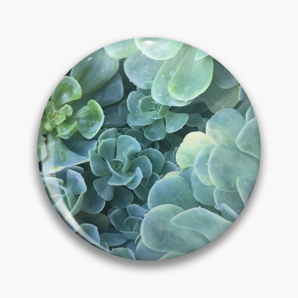 Item preview, Echeveria elegans agavoides designed and sold by RaquelDeneth.