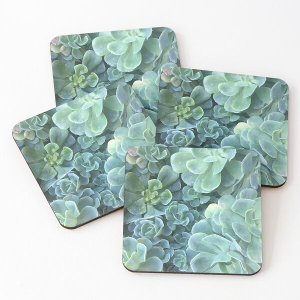 Item preview, Echeveria elegans agavoides designed and sold by RaquelDeneth.