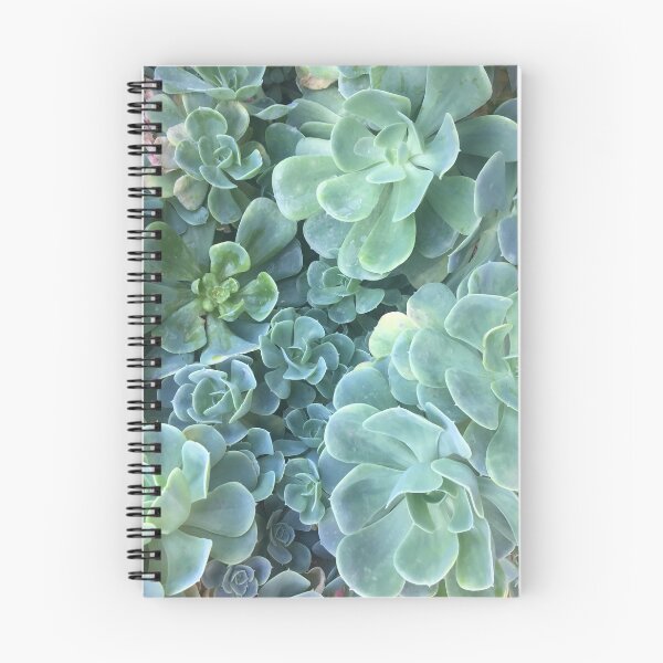 Item preview, Echeveria elegans agavoides designed and sold by RaquelDeneth.