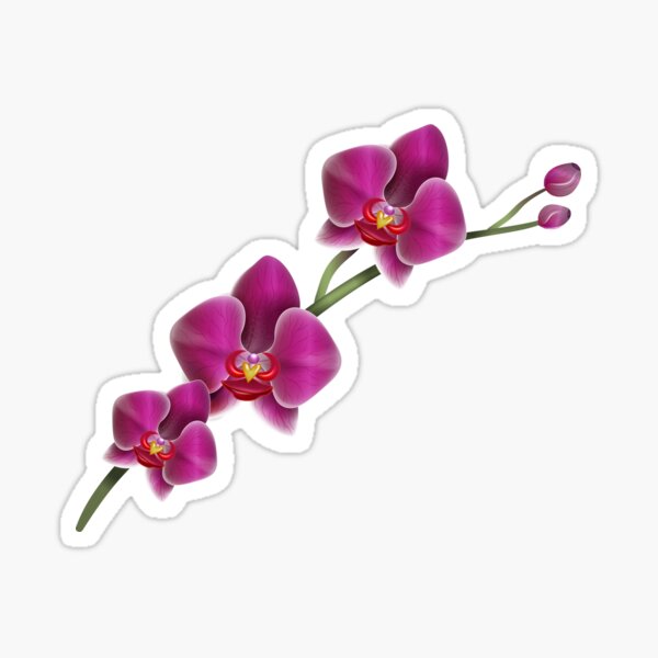 Item preview, Orchid designed and sold by Patrick de Vries.