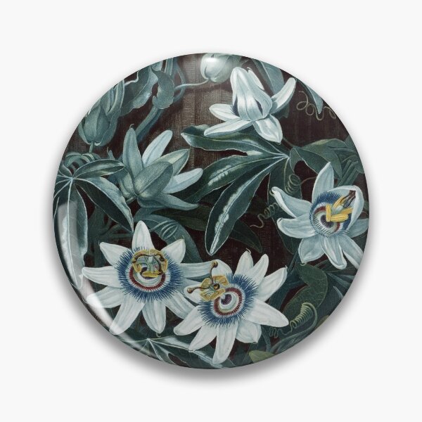 Item preview, Vintage Botanical Print: The Blue Passion-flower 1799-1807 designed and sold by Douglas E. Welch Design and Photography.