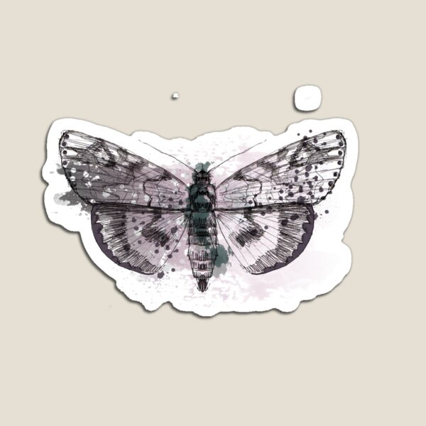 Moth Magnet