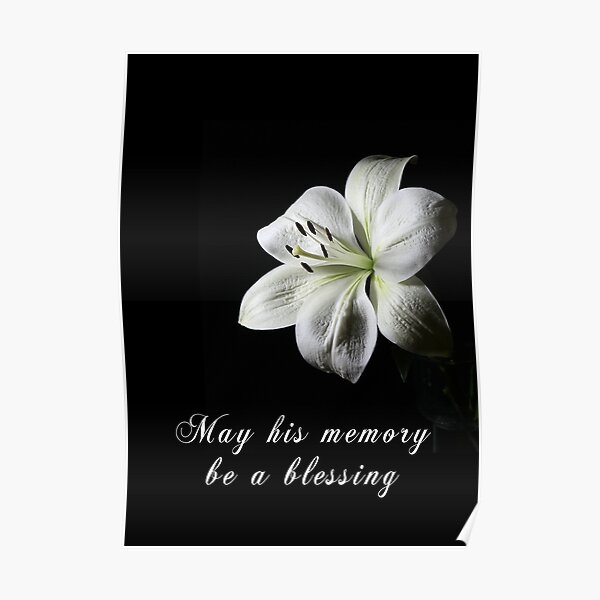 Sympathy Card with White Lily Poster