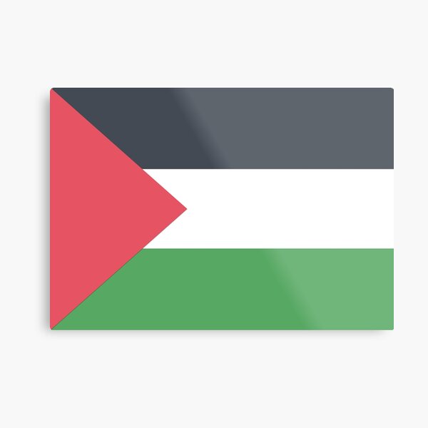Aperçu de l'œuvre Palestine créée et vendue par FlatFlags.