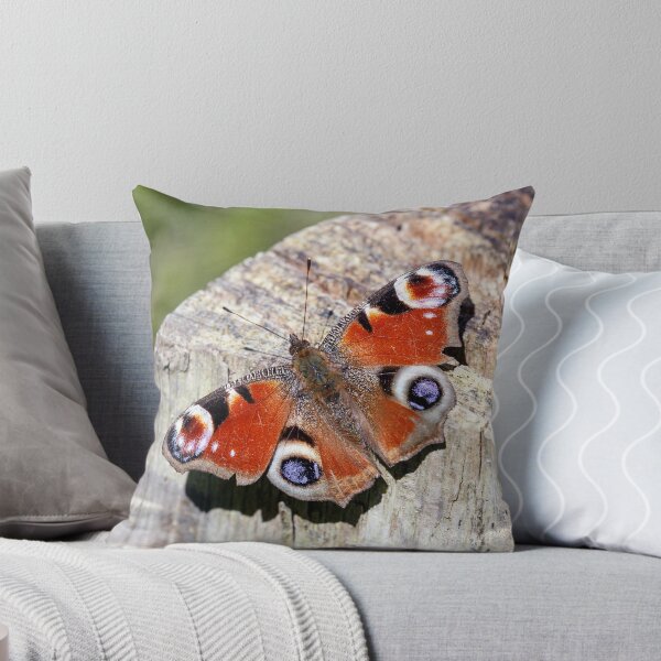 Artikelvorschau, Schmetterling entworfen und verkauft von jackiedavies.