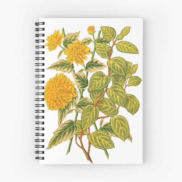 Item preview, Honeysuckle Botanical Print designed and sold by Veriepear.