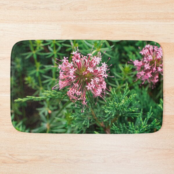 Item preview, Pink Phuopsis Stylosa "Purpurea" designed and sold by AlinaSCorner.