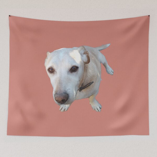 Item preview, My Derpy Dog designed and sold by hashnan21.