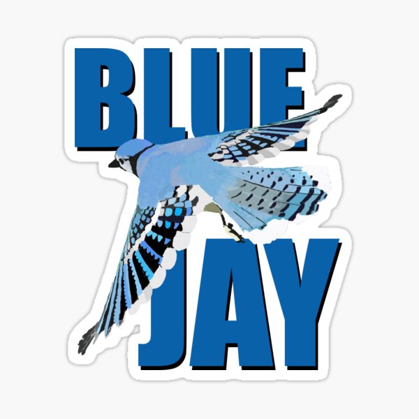 "Blue Jay" Sticker for Sale by liberatoryart Redbubble