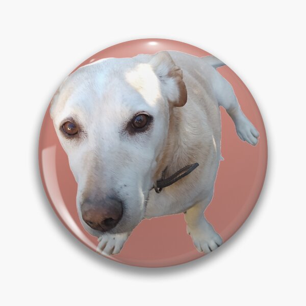 Item preview, My Derpy Dog designed and sold by hashnan21.