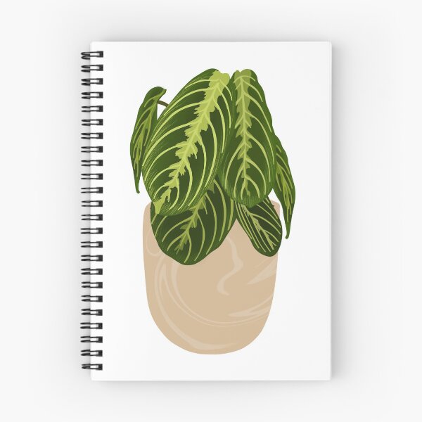 Item preview, Lemon Lime Maranta Prayer Plant designed and sold by Annie Clay.