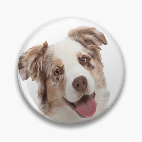 Item preview, Red Merle Australian Shepherd designed and sold by DesignVertex.