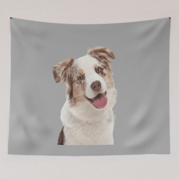 Item preview, Red Merle Australian Shepherd designed and sold by DesignVertex.