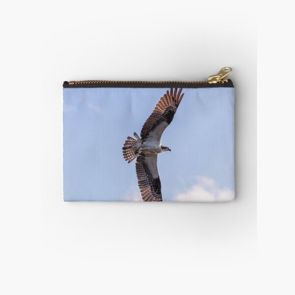 Item preview, Flying Osprey, Great Wing Span designed and sold by SafariByMarisa.