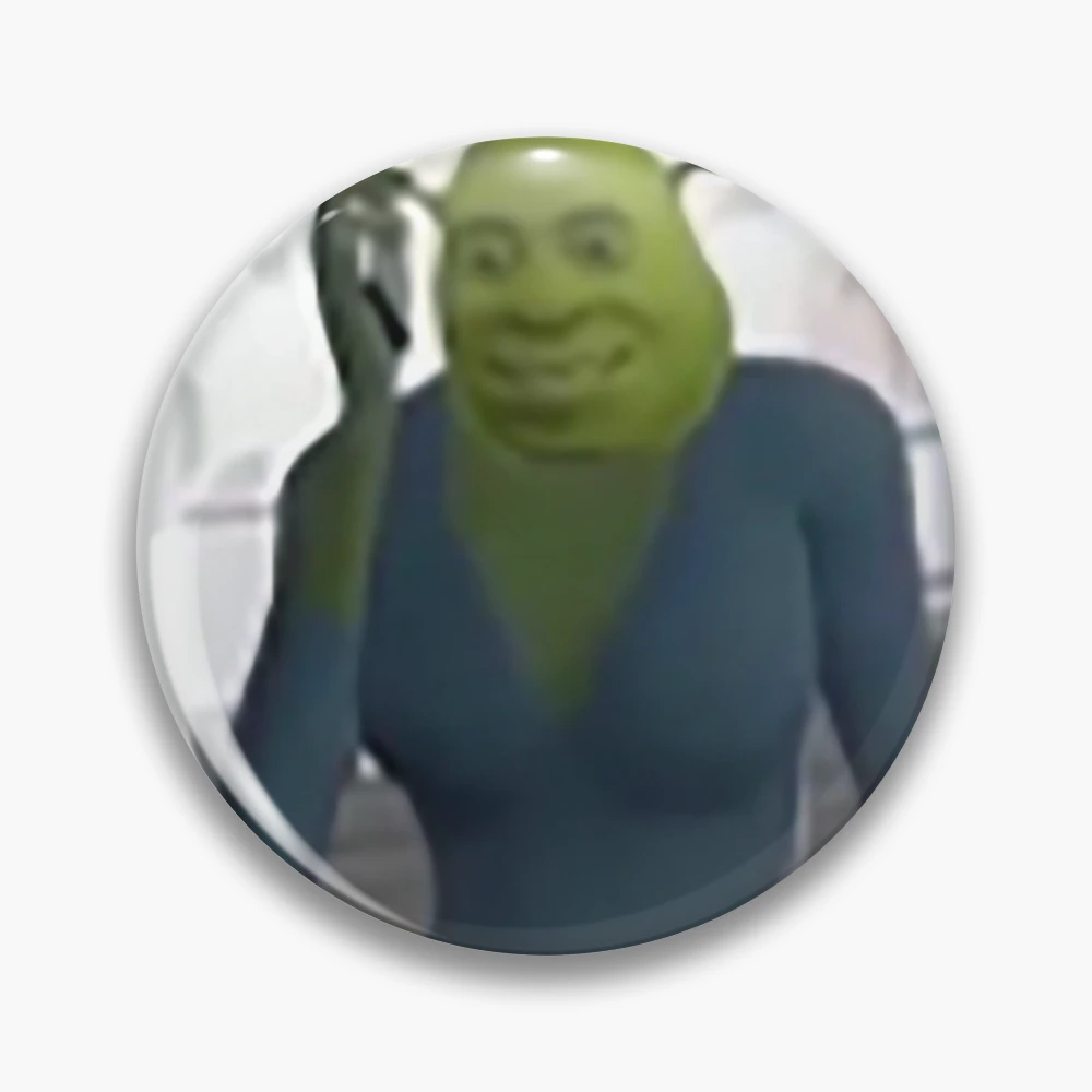 Pin on Funny Shrek memes