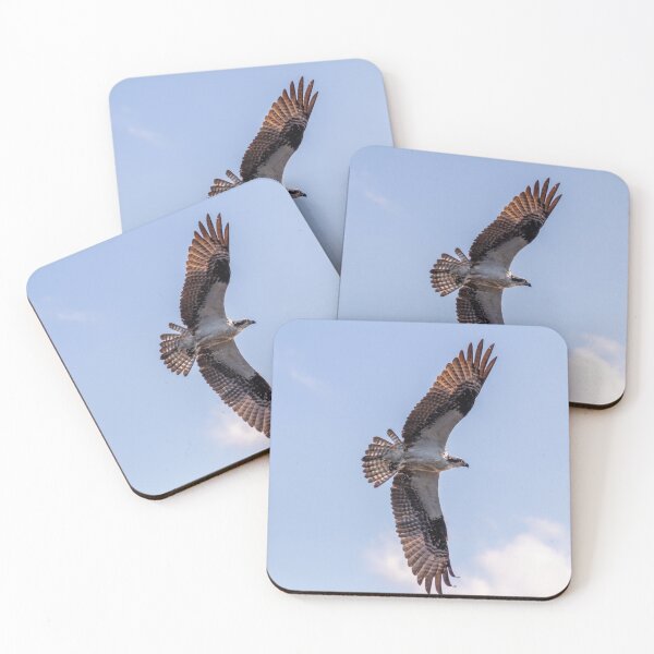 Item preview, Flying Osprey, Great Wing Span designed and sold by SafariByMarisa.