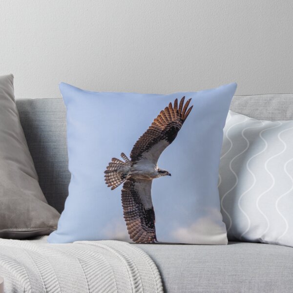 Item preview, Flying Osprey, Great Wing Span designed and sold by SafariByMarisa.