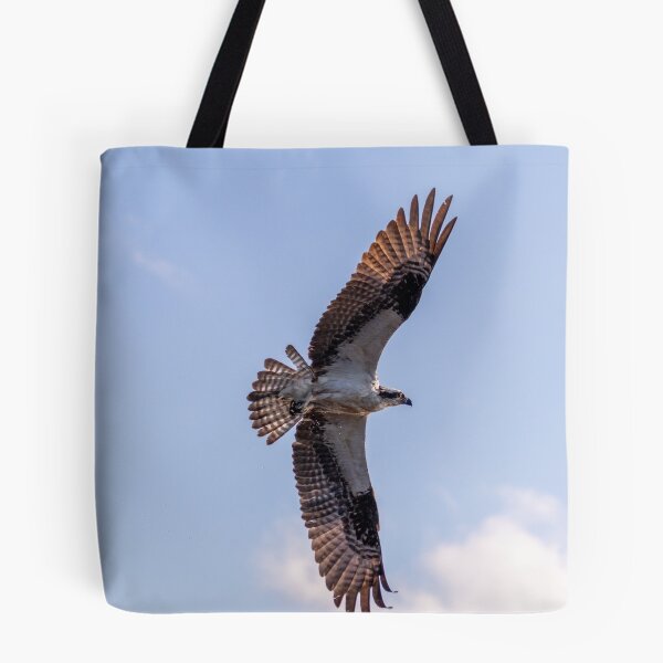 Item preview, Flying Osprey, Great Wing Span designed and sold by SafariByMarisa.