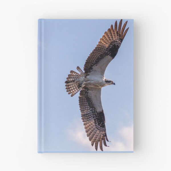 Item preview, Flying Osprey, Great Wing Span designed and sold by SafariByMarisa.