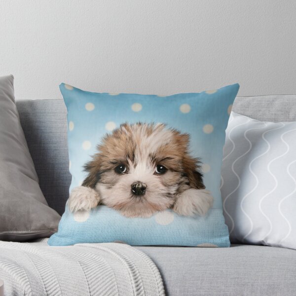 Item preview, Cute puppy peeking from blue spotted background designed and sold by ArdeaOnline.