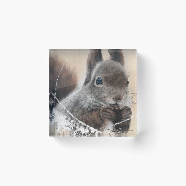 Item preview, Oh! Squirrel! designed and sold by liseracine.