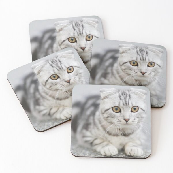 Item preview, Cute Kittens Design 5 designed and sold by leea1l.