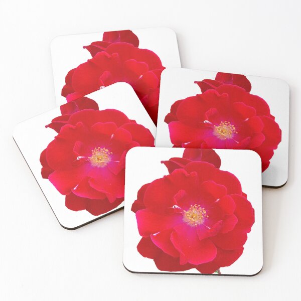 Item preview, Hot redpinkish rose flower designed and sold by DIBS2021.
