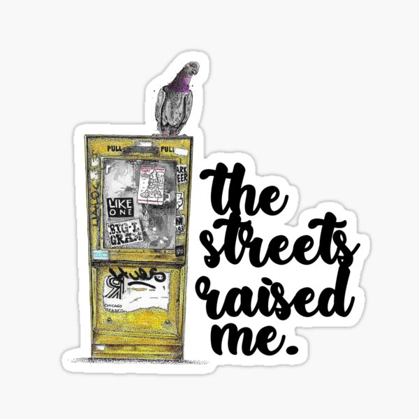 Vista previa del artículo con la obra «Un lector de Chicago conoce a una paloma sucia de la ciudad», diseñado y vendido por dirtycitypigeon.