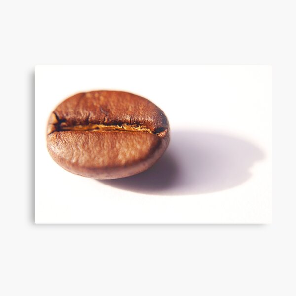 coffee bean close up Metal Print